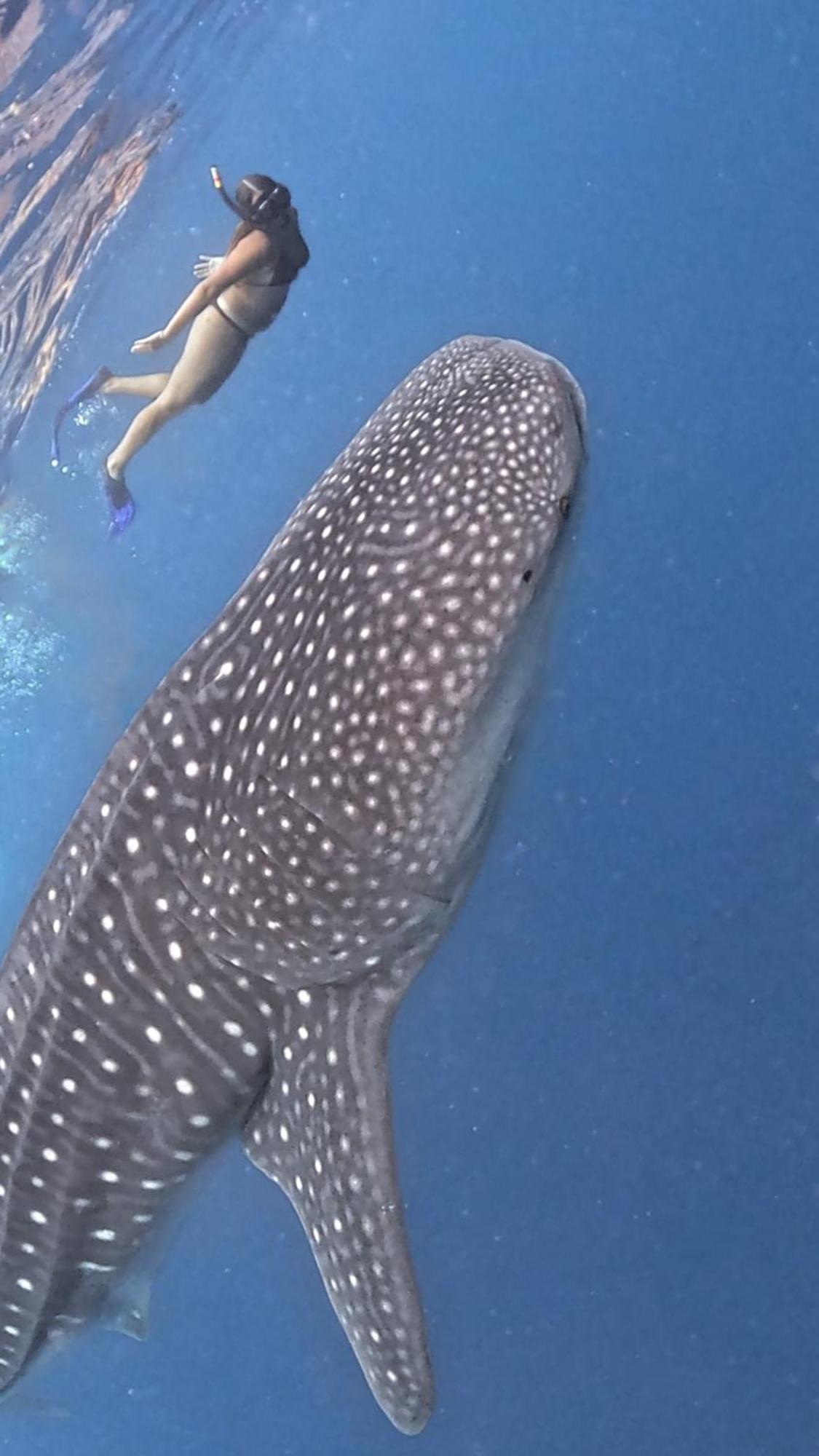 Sands Grand Dhigurah  Exteriör bild